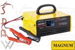 AGRI 23 AGM/GEL Magnum Prostownik