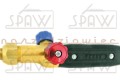 PS216Ag_003.jpg