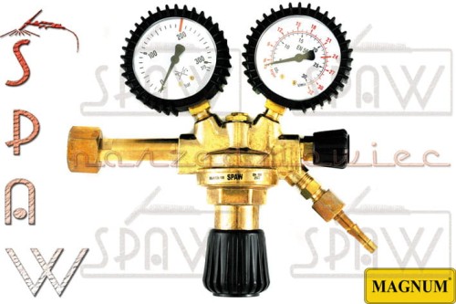 Arser100_shop.jpg